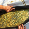 Oxygen Barrier Film for Silage Preservation