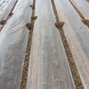 Cover Ground Customized Clear Mulch Film