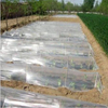 Cover Ground Customized Clear Mulch Film