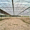 120micron High Diffusion Customized Cooling Greenhouse Film