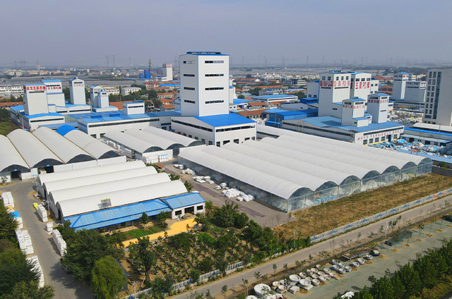 company-1