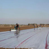 TIF-Fumigation Film