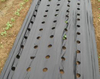 Perforated Mulch Film