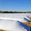 Silage Bag