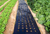 Perforated Mulch Film